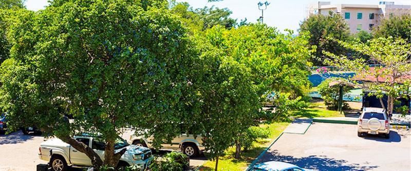 The Liguanea Club Hotel คิงส์ตัน ภายนอก รูปภาพ